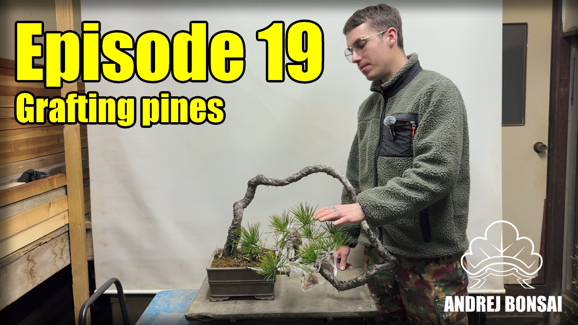 How to Graft Pines
