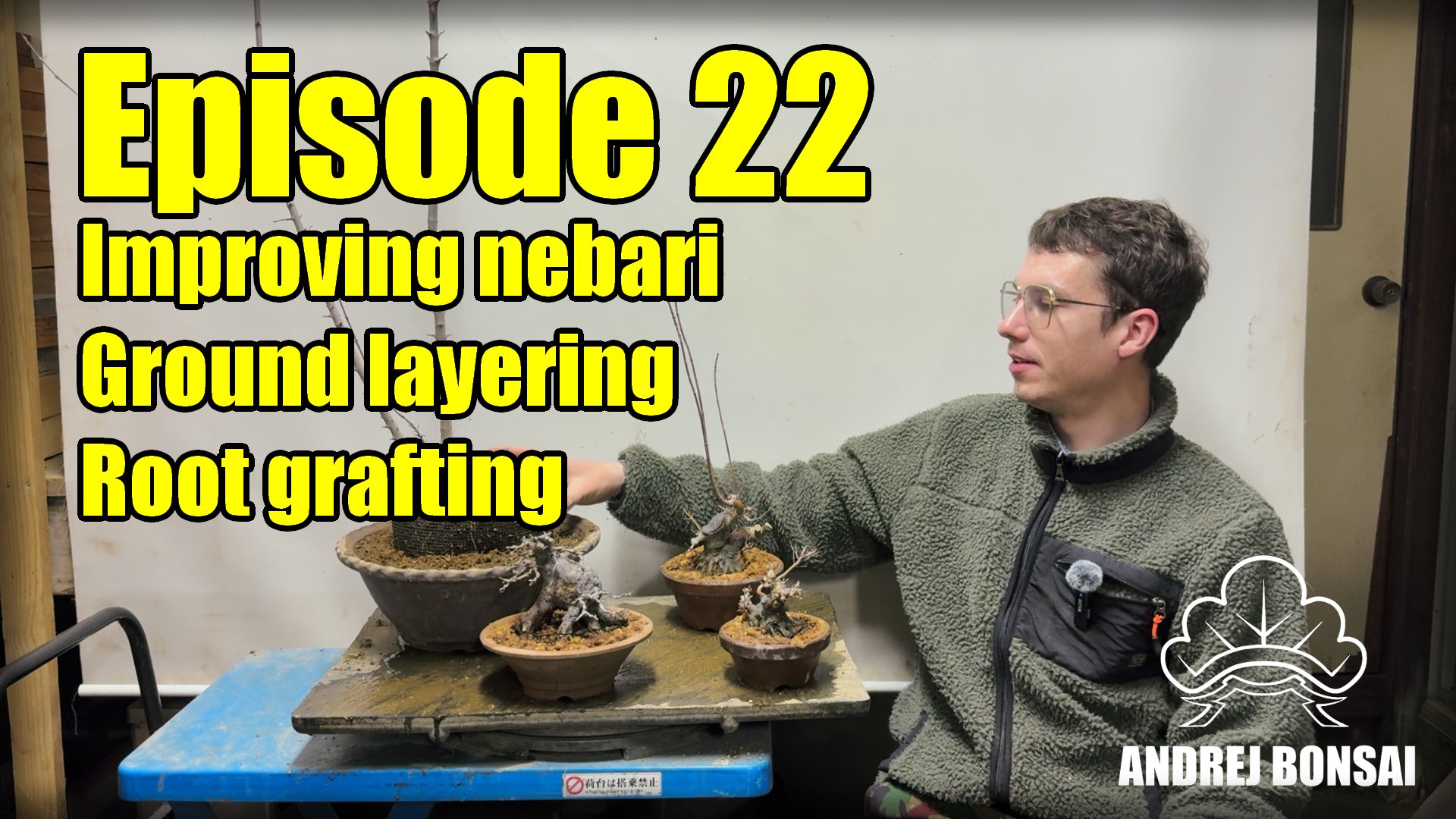 Improving Nebari by Groundlayering & Rootgrafting