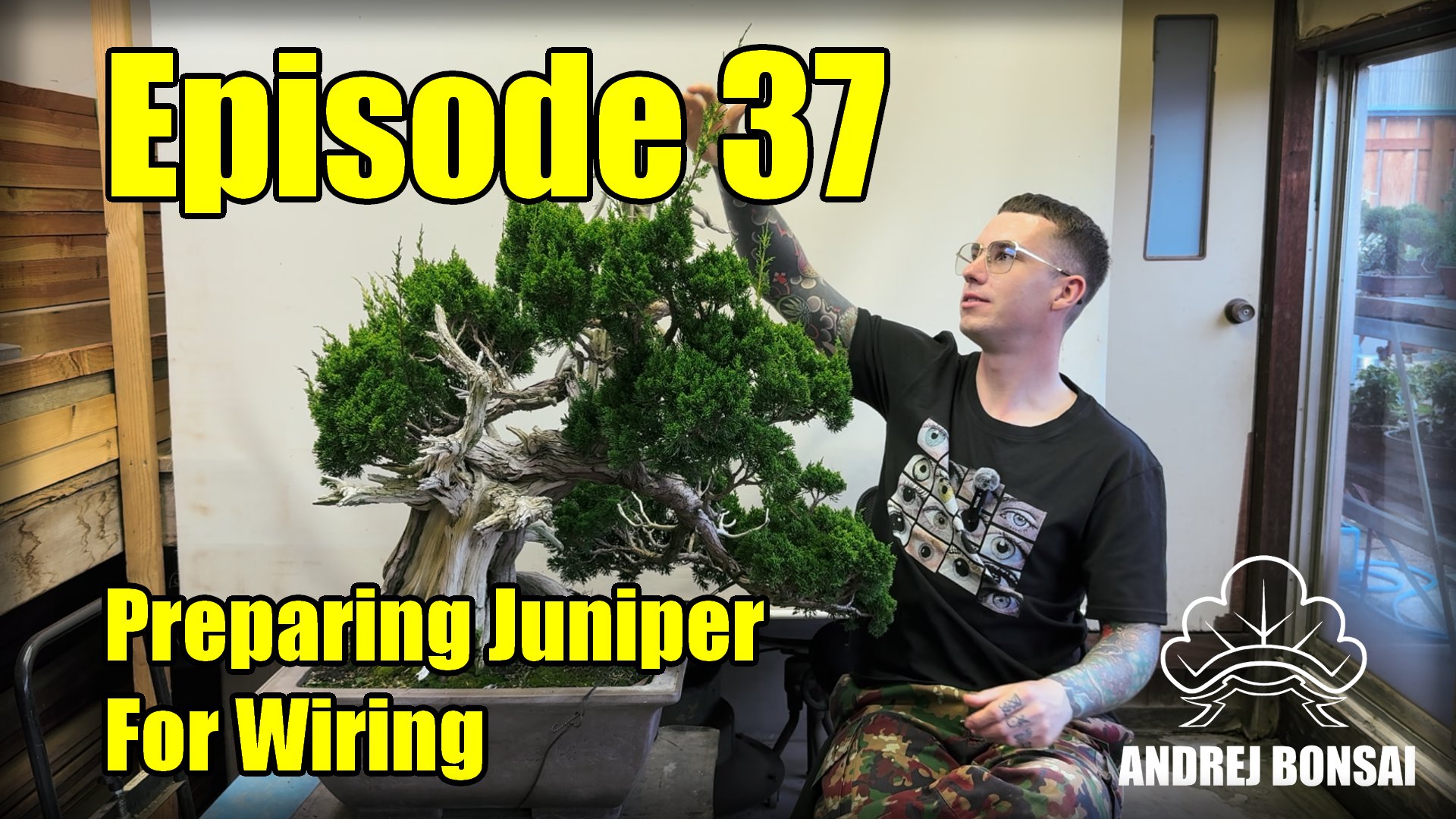 Preparing Junipers for Wiring