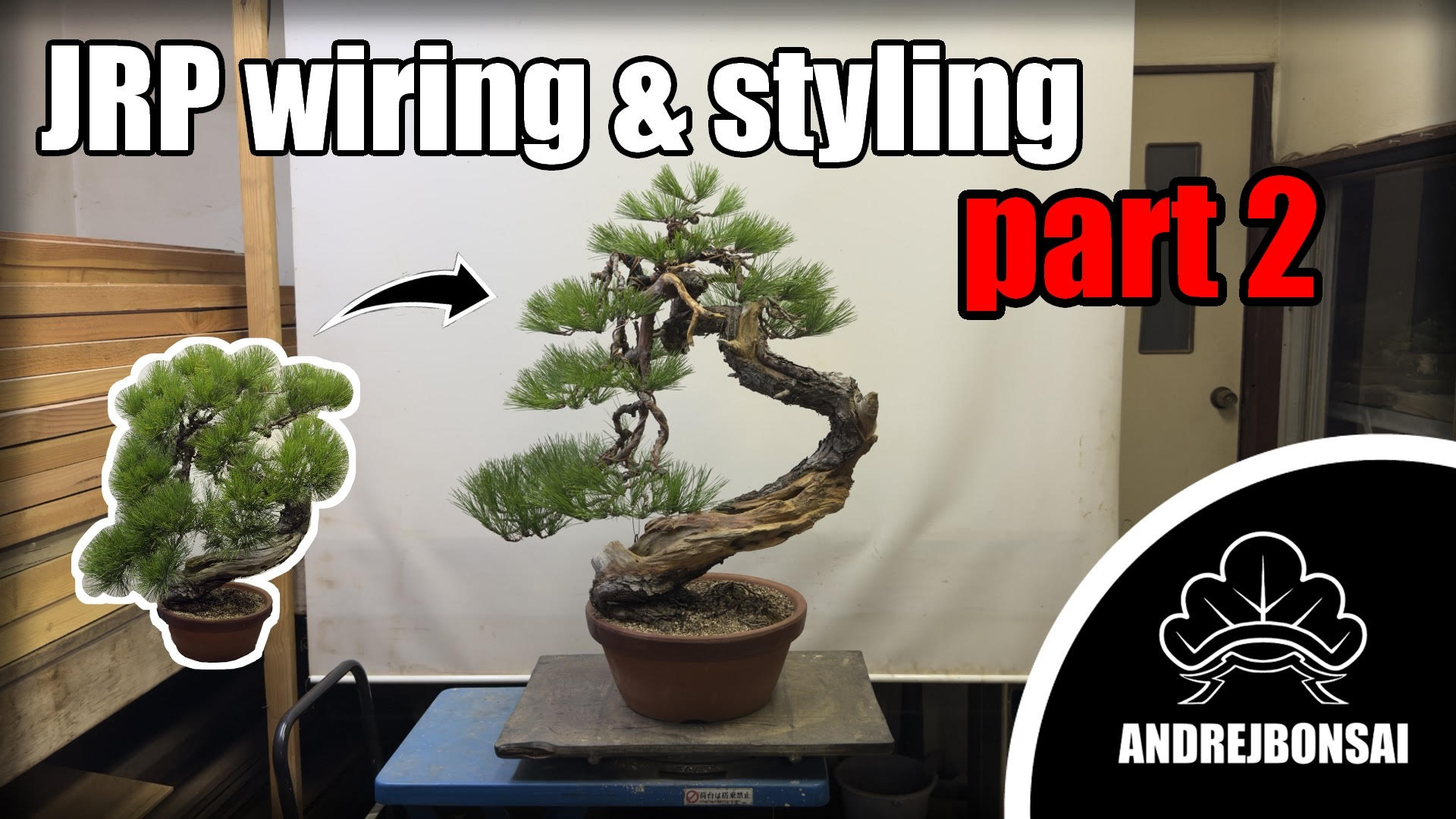 Japanese Red Pine Structural Work & First Styling (Part 2)