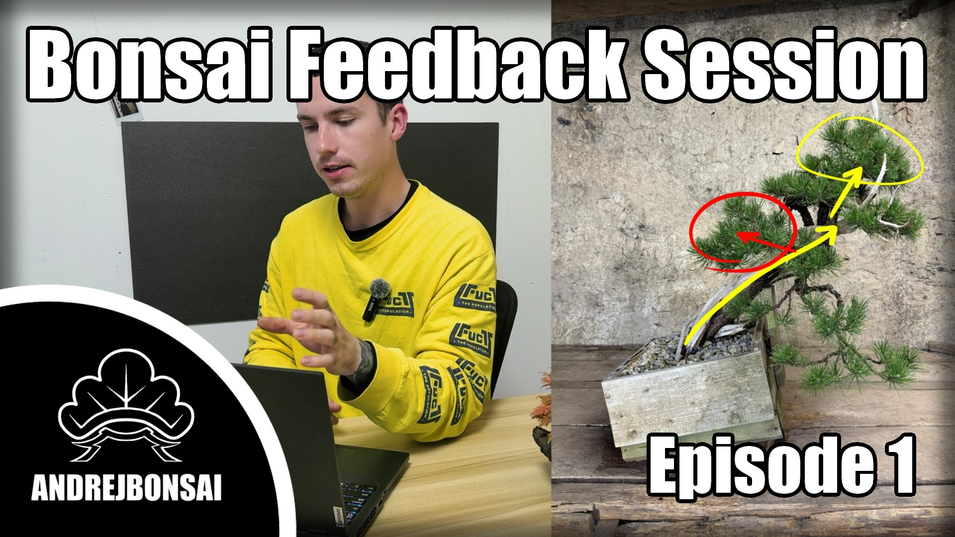 Bonsai Feedback Session - Episode 1
