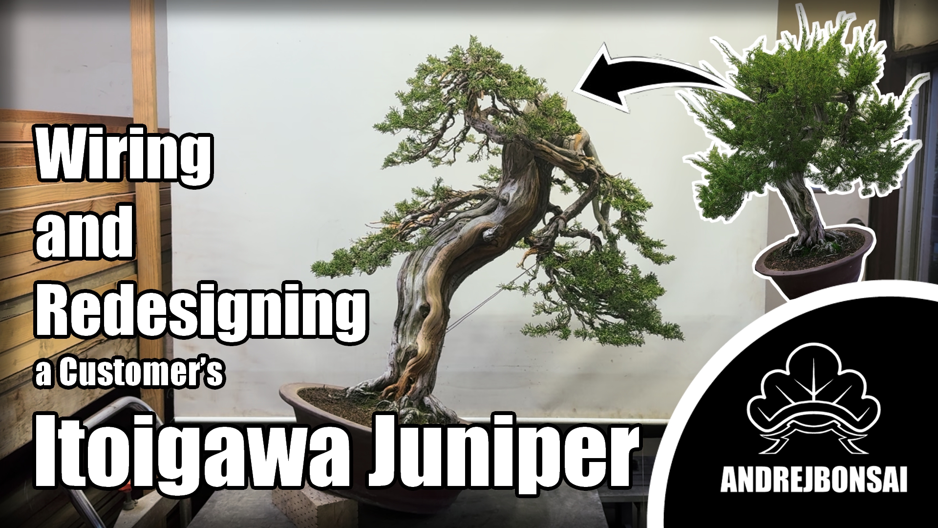 Wiring and Redesigning a Customer’s Itoigawa Juniper